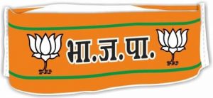 BJP Gandhi Topi