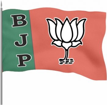 BJP Roto Flag