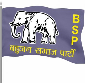BSP Roto Flag