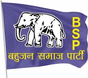 BSP Satin Flag