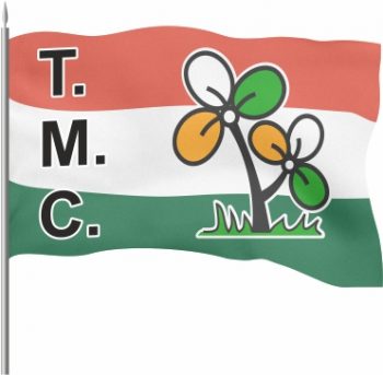 T.M.C Roto Flag