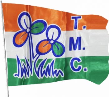 TMC Satin Flag