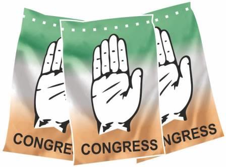 Congress Paper Toran