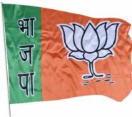 BJP Satin Flag